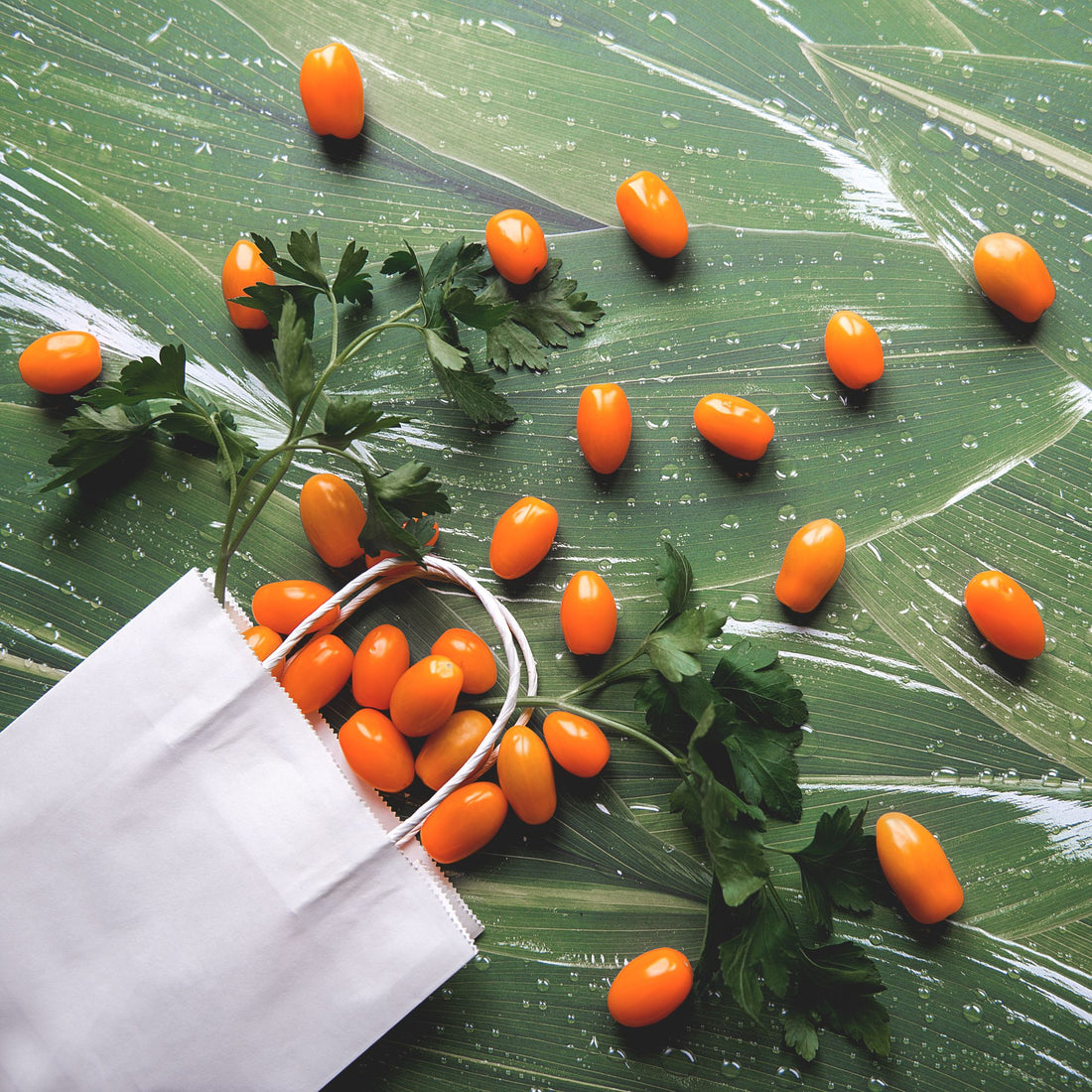Reusable Silicone Food Bags (4‑Pack)